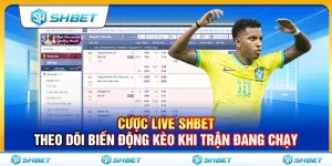Cược Live SHBET – Theo Dõi Biến Động Kèo Khi Trận Đang Chạy