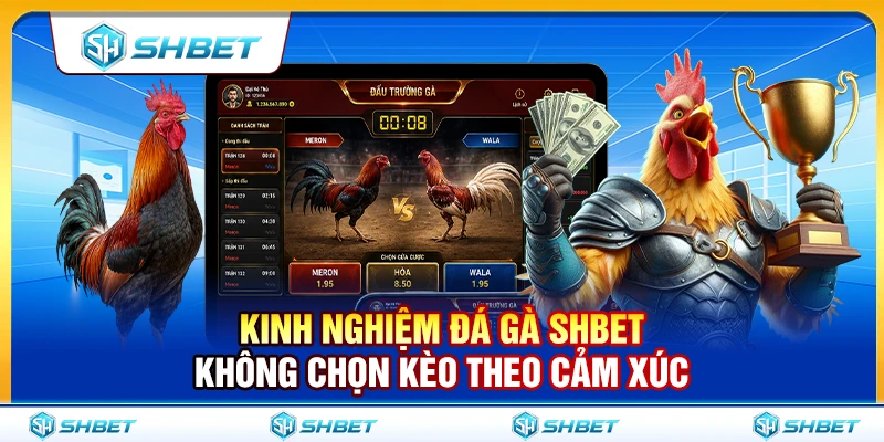 Kinh Nghiệm Đá Gà SHBET Không Chọn Kèo Theo Cảm Xúc 1 Kinh Nghiệm Đá Gà SHBET Không Chọn Kèo Theo Cảm Xúc