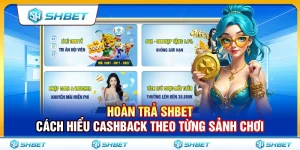 Hoàn Trả SHBET – Cách Hiểu Cashback Theo Từng Sảnh Chơi