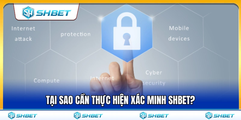 Vai trò của việc xác thực thông tin trên nền tảng SH BET 