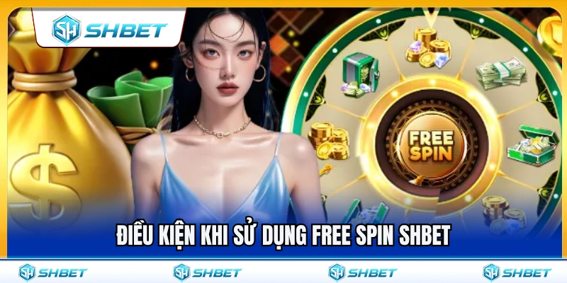 Yêu cầu cần biết khi sử dụng free spin SHBET 