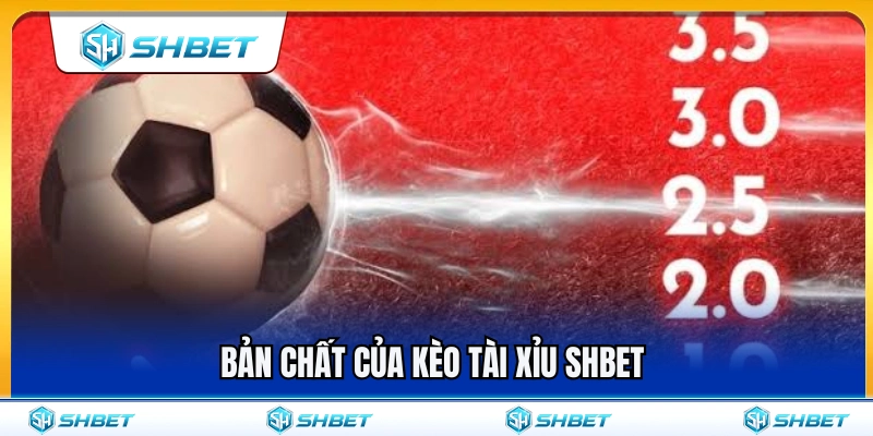 Tìm hiểu bản chất kèo tài xỉu SHBET 