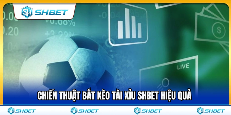 Bí quyết bắt kèo tài xỉu SHBET tối ưu hiệu quả 
