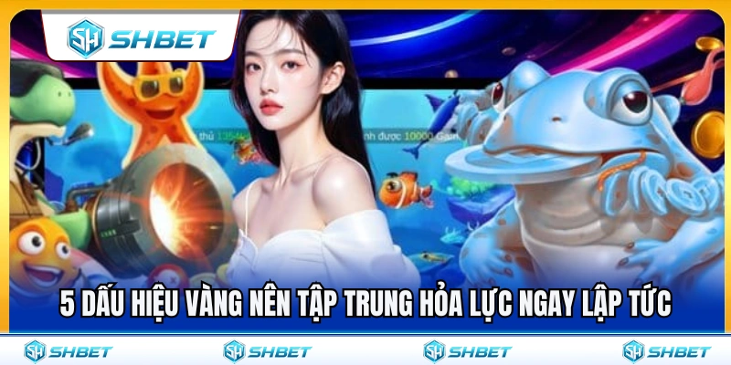 5 Tín hiệu cực tốt nên tập trung đạn ngay lập tức 