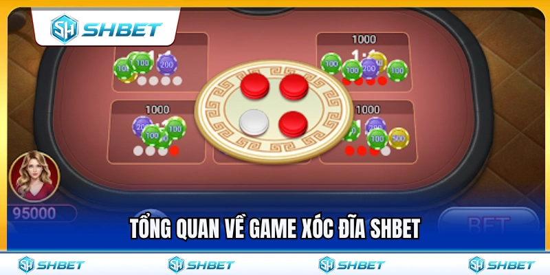 Xóc Đĩa SHBET – Luật Chơi Nhanh Và Các Cửa Cược Cơ Bản 2 Tìm hiểu thông tin chung về xóc đĩa SHBET